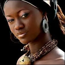 Qui a chanté ''Je voudrais être noir'' ?