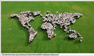 Quelle phrase pourrait correspondre à cette image ?