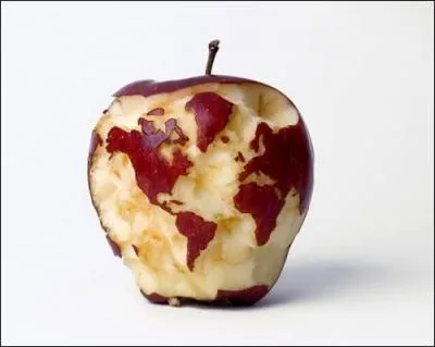 Cette mappemonde a été sculptée...