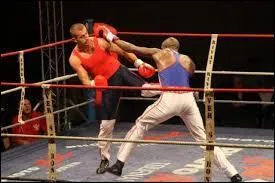 Concernant les coups portés avec les membres supérieurs, lequel n'est pas autorisé en boxe française ?