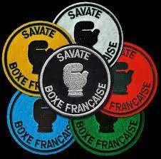 Dans ce sport de combat, il existe différents grades qui se traduisent par des couleurs de gants. Parmi les propositions, laquelle désigne le grade le moins élevé (1er niveau) ?