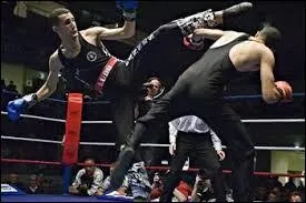 En savate, quels termes utilise-t-on pour désigner les différentes zones du corps vers lesquelles on porte une attaque ?