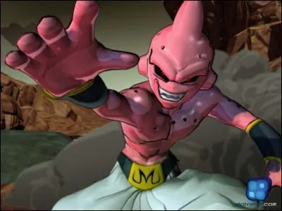 Grâce à qui Goku a-t-il pu réaliser son genkidama contre Bou ?