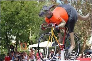 Parmi ces podiums sur le Tour Down Under 2015, lequel était 100% australien ?