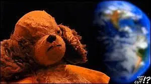 Comment s'appelle la fidèle peluche d'Antoine ?