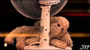 Qui reste toujours au fond de la pièce et a fait de la pole dance avec Richard ?