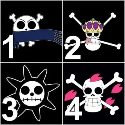 Épisode 87 - Cochez les deux drapeaux pirates qui sont associés à l'arc de l'île de Drum.