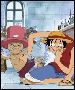 Épisode 84 - Comment réagissent Luffy et Sanji quand ils rencontrent Chopper pour la toute première fois ?