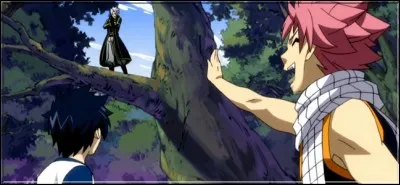 (Épisode 55) 
Alors que Natsu est sur la route pour aller sauver Wendy, un ancien ennemi réapparaît ! 
Qui est-ce ?