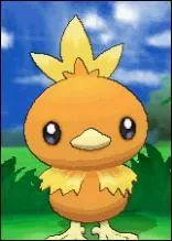 Quel est ce Pokémon ?