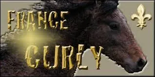 Complétez - Un Curly coûte de ______ à ______.