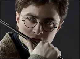 Qui est le nouveau professeur de défense contre les forces du Mal ?