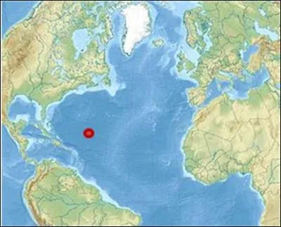 Quelle espèce de poissons vient se reproduire dans la mer des Sargasses ?