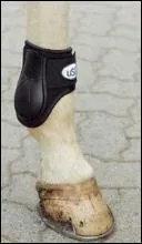 Ce protège-boulets est pour la jambe :