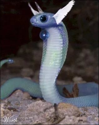 Quel Pokémon voit-on sur cette photo ?