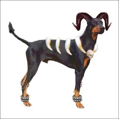 En quel Pokémon ce chien s'est-il déguisé ?