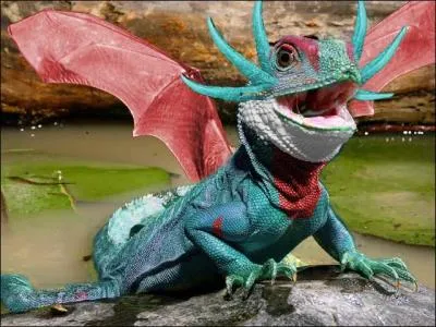 Comment se nomme-t-il ?