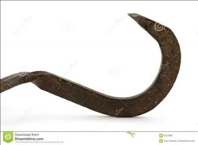 Julia Roberts : Ac...crochez-vous, sinon vous allez vous faire sonner les ... clochettes !