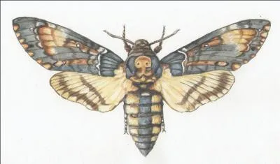 Jodie Foster : Sortez de votre cocon !