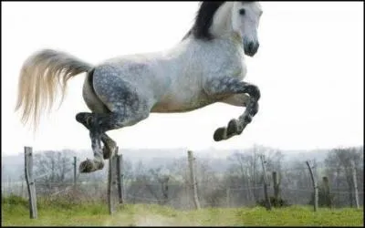 Qu'est-ce qu'une projection ?