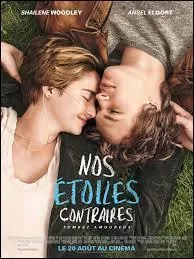 Dans « Nos étoiles contraires », comment Hazel Grace et Gus se sont-ils rencontrés ?