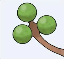 On ne dirait pas à première vue mais il s'agit bien d'un bras. À qui appartient-il ?