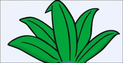 Quel Pokémon détient toutes ces feuilles sur sa tête ?