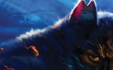 Quiz Erin hunter