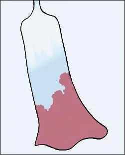 Quel Pokémon a pour queue un talisman ?