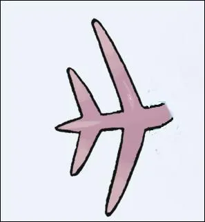 Chez quel Pokémon pouvons-nous voir cette houppe branchiale ?