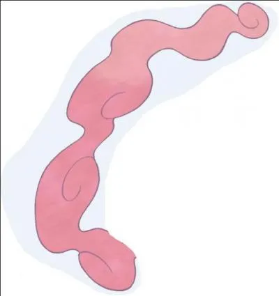 De quel Pokémon cette fumée provient-elle ?