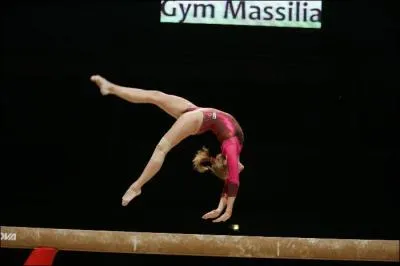 Comment s'appelle cet agrès ?