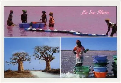 Celle-ci provient également d'un pays d'Afrique. Lequel ?