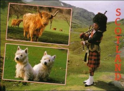 Ce bel Écossais, joueur de cornemuse, fait partie des habitants...