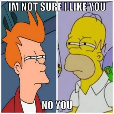 Bonus : Quel est le point commun entre Fry et Homer ?
