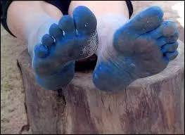 Complétez ces paroles de Carlos : ''Quand on a les pieds bleus, c'est qu'on est ----------------''