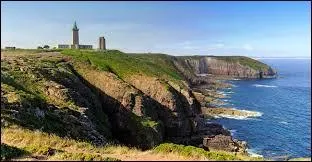 Qui a chanté ''La Java bleue'' ? (Cette personne avait pris comme pseudo le nom d'un cap français.)