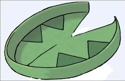 Quel Pokémon possède ce nénuphar sur la tête ?