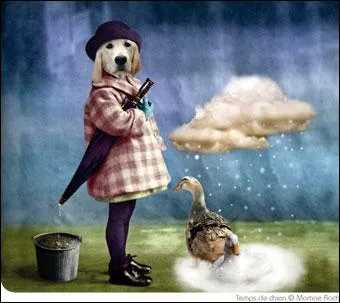 "Il fait la pluie et le beau temps" veut dire qu'(e)