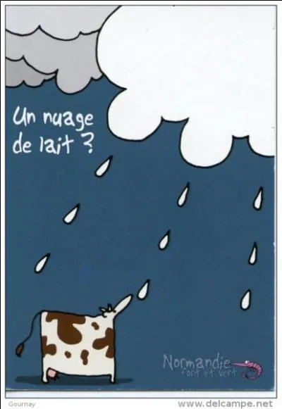 Où pouvez-vous entendre l'expression " un nuage de lait" ?
