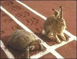 Dans la célèbre fable "Le Lièvre et la Tortue", quelle est la morale ?