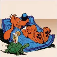 Comment s'appelle cette petite tortue que l'on retrouve dans la célèbre bande dessinée "Boule et Bill" ?