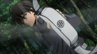 Je suis classé 10e meilleur joueur au monde du jeu en ligne Btooom ! et suis amoureux d'Himiko. Je suis :
