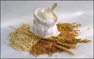 La fleur de farine représente se qui est le plus fin et d'excellente qualitée.
Combien y a-t-il de fautes ?