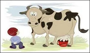 Le mot gateau avait pour signification première : nouriture. Ils ont été d'abord confectionnés à base de céréales et agrèmentés avec des produits laitiers est du miel.
Combien y a-t-il de fautes ?