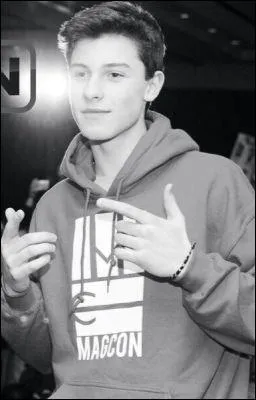 Quelle sorte de téléphone a-t-il ?