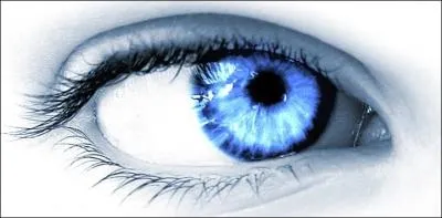 'Iris' . Quel mot devez-vous éliminer ?