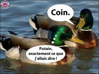 'Canard' . Quel mot devez-vous éliminer ? (Agrandissez l'image pour un petit instant de sourire.)