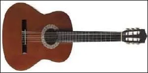 Quel nom donne-t-on aux barrettes métalliques placées sur la manche de la guitare ?