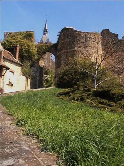 De ces quatre départements, lequel ne touche pas à celui du Loiret ?